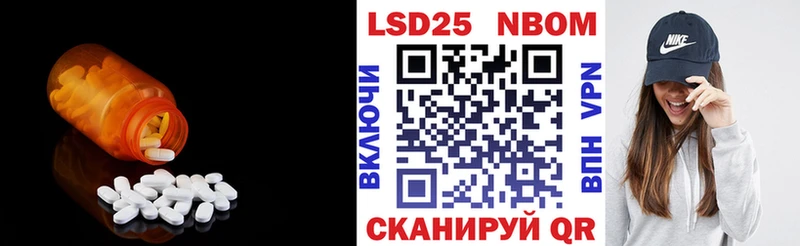 kraken tor  Каменногорск  Лсд 25 экстази ecstasy 