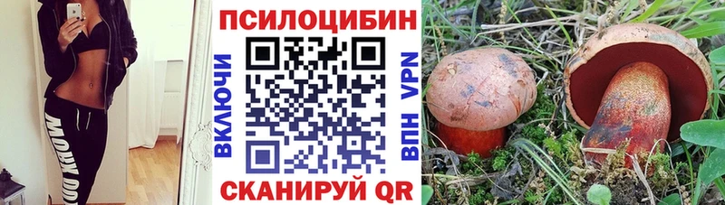 Галлюциногенные грибы MAGIC MUSHROOMS Каменногорск